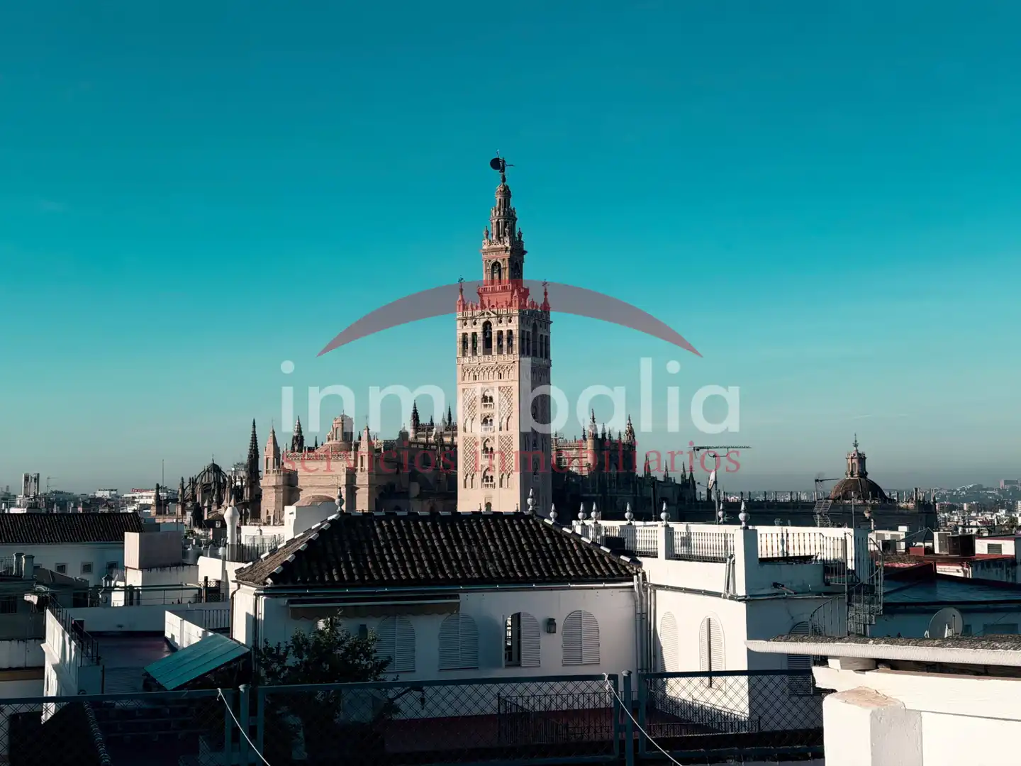Exterior view of Houses for sale in Sevilla