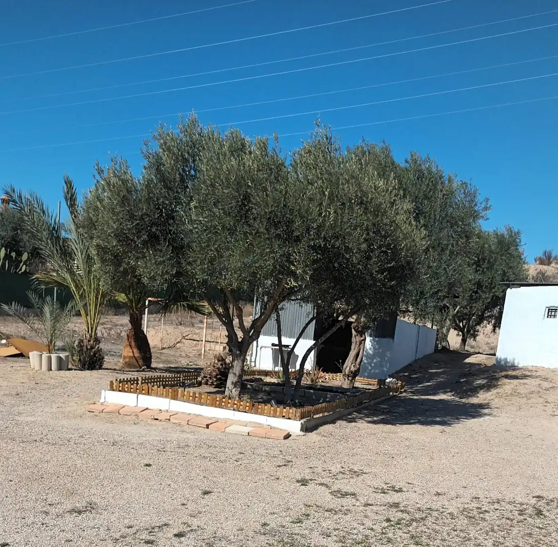 Casa o chalet en venta en Molina de Segura con Aire acondicionado, Calefacción y Terraza