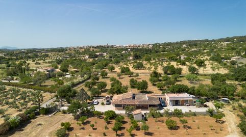 Foto 2 de Finca rústica en venta en Selva, Illes Balears