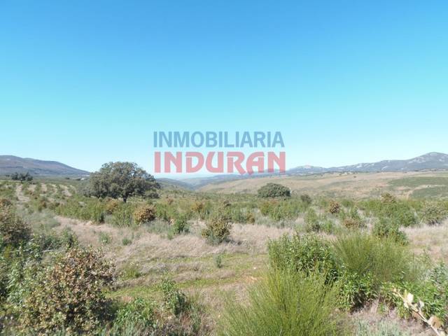 Finca rústica en Venta en Fresnedoso de Ibor