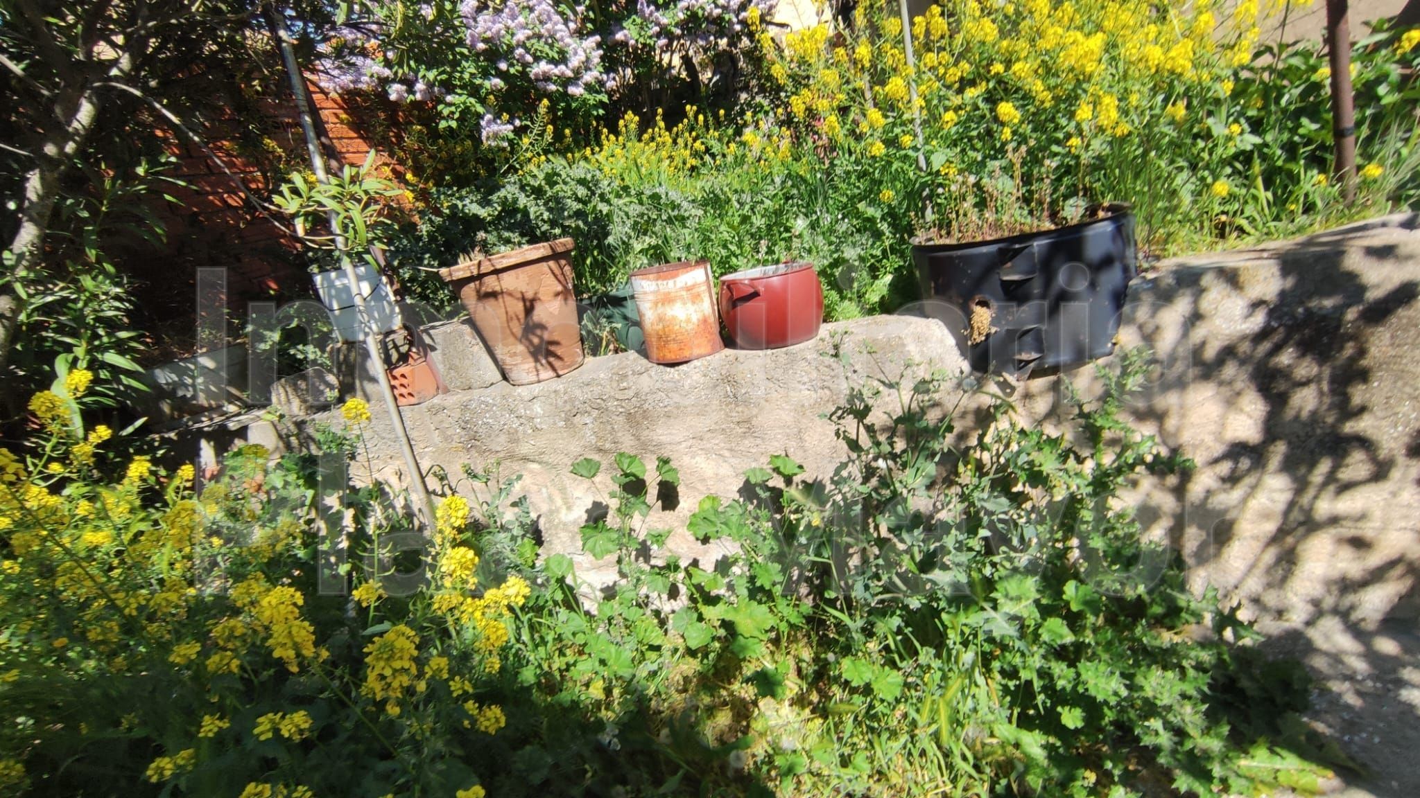 Jardí de Casa o xalet en venda en Salamanca Capital amb Calefacció, Terrassa i Traster