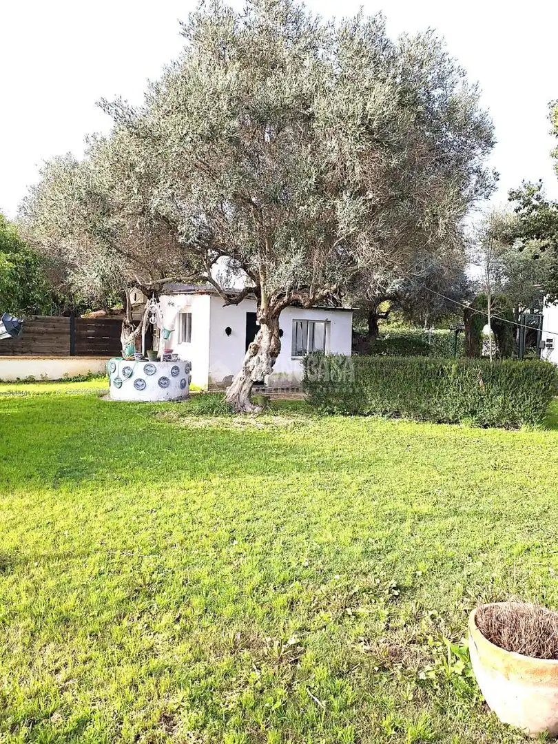 Jardí de Finca rústica en venda en Coria del Río
