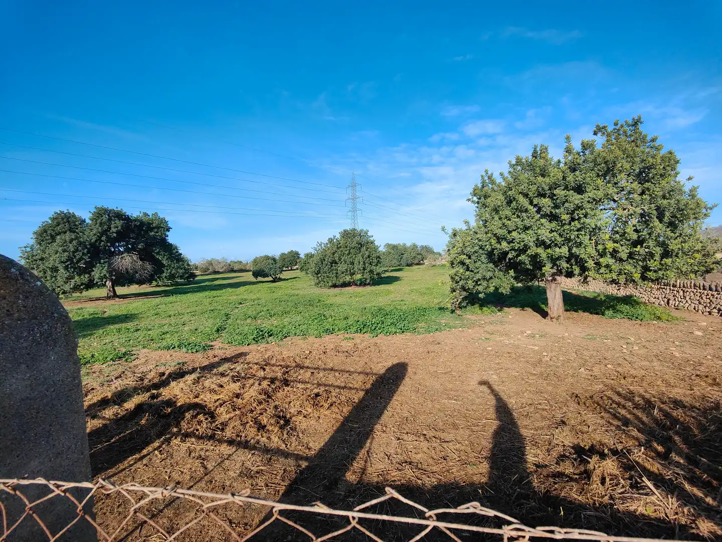 Terreno en venta en Llucmajor
