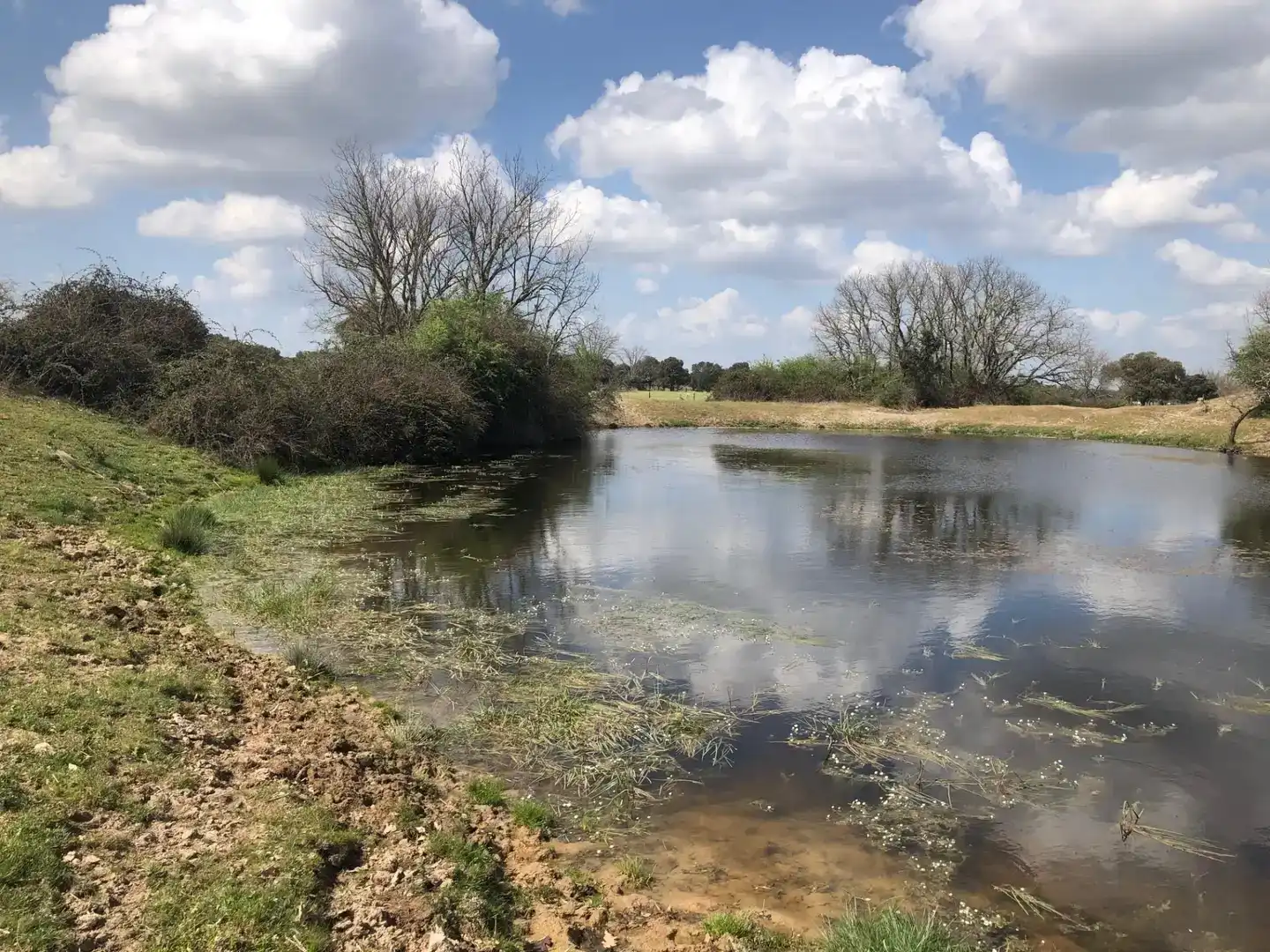 Terreno en venta en Fuentes de Oñoro