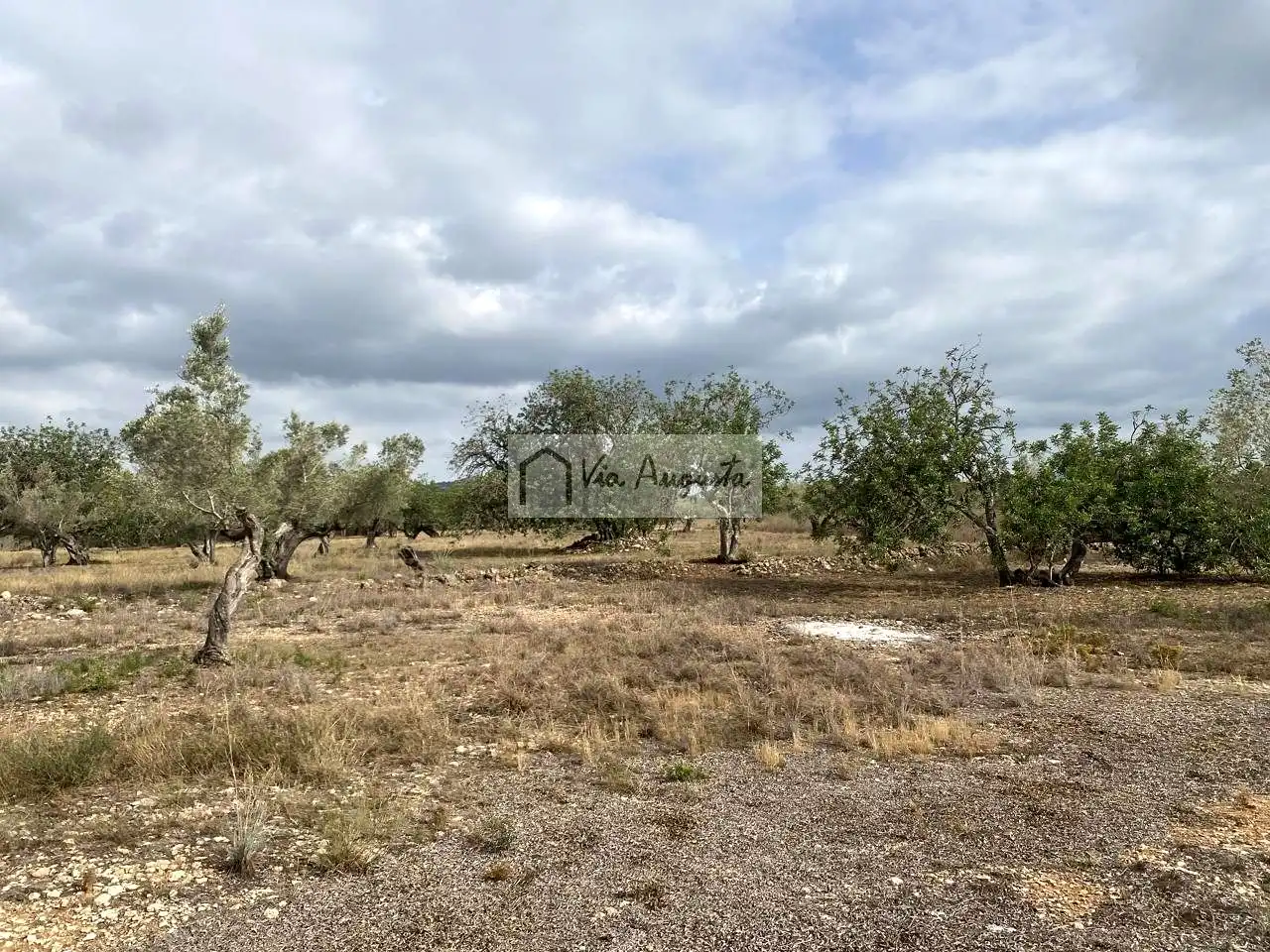 Terreno rustico in vendita a Mas de Baralluga, imagen 14