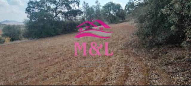 Finca rústica en Venta en Don Álvaro