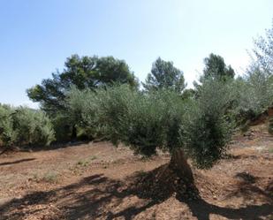 Finca rústica en venda en Alcanar