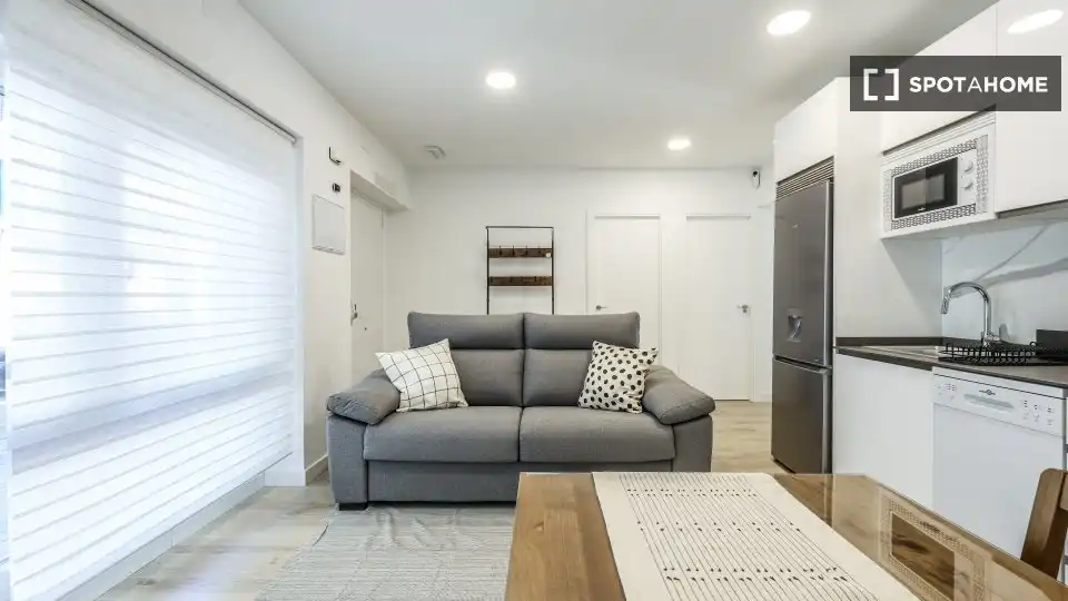 Sala de estar de Piso de alquiler en Madrid con Aire acondicionado, Calefacción y Amueblado