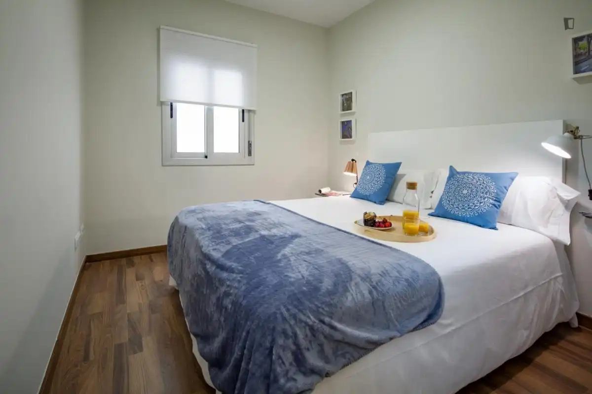 Apartments for rent in El Raval