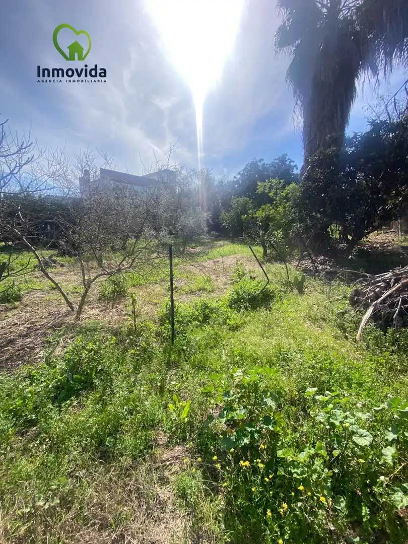 Villa con piscina in vendita a Periurbano Este - Campiña, imagen 24