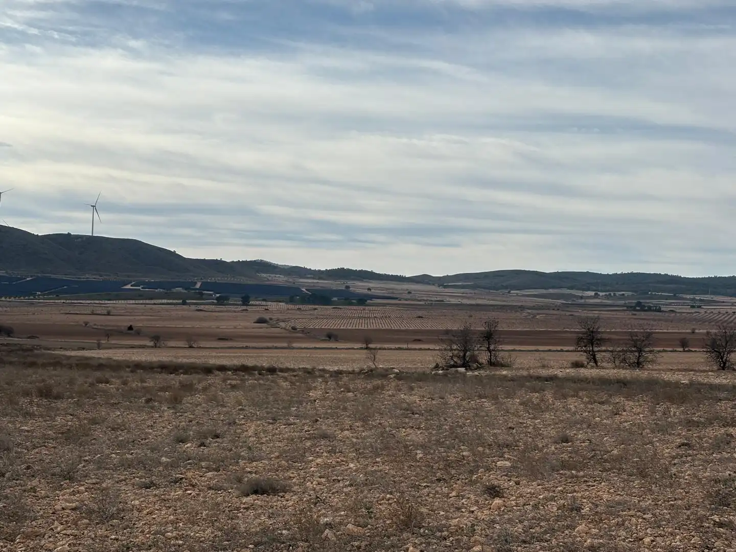 Finca rústica en venta en Ontur