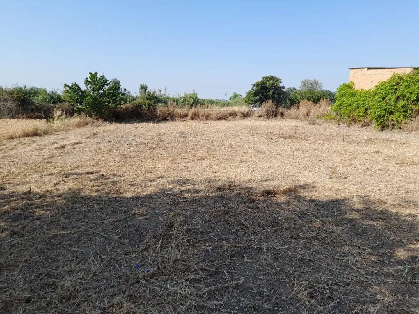 Rural land for sale in c-53 1