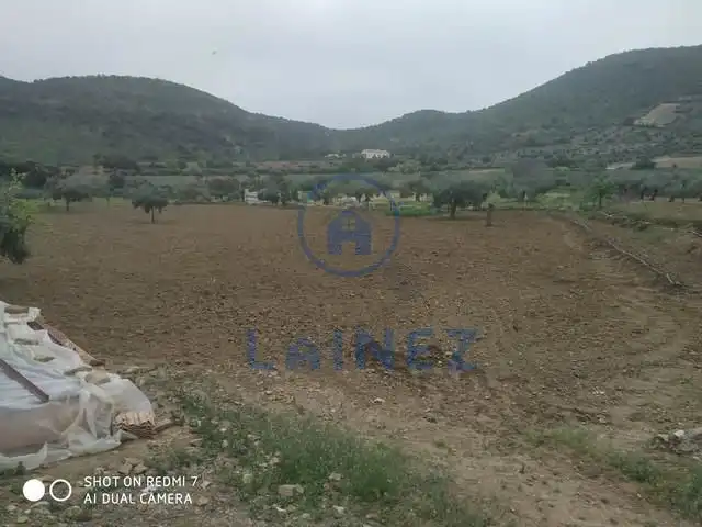 Terreny residencial en venda a Belmez, imagen 15