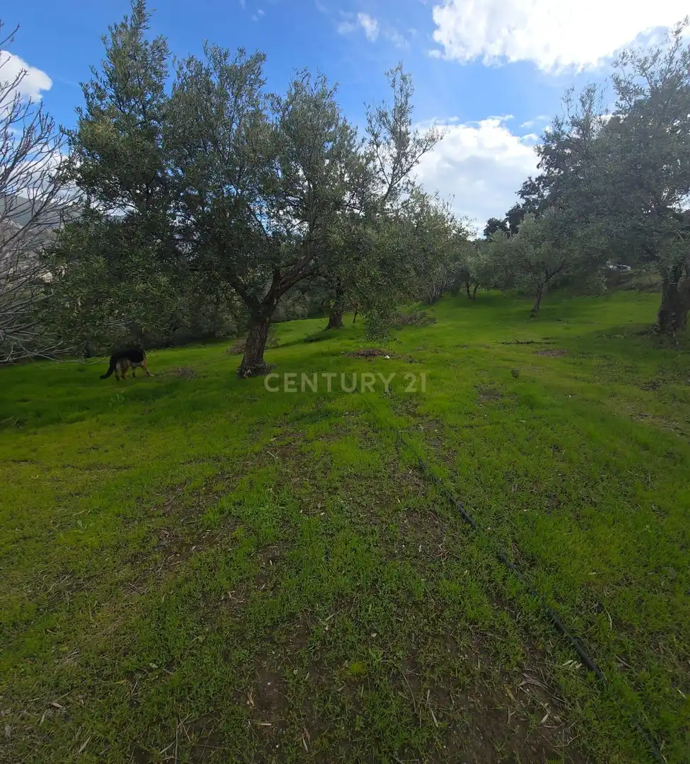 Terreno rustico in vendita a Polígono 11 Parcela 108 EL CERRILLAR. LOS GUAJARES (GRANADA), imagen 4