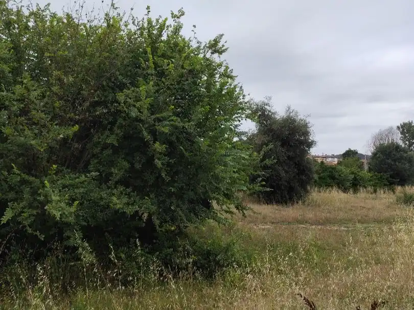 Residential land for sale in Carrer Bullidors 33, imagen 2