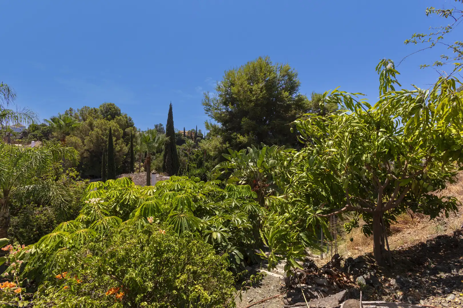 Casa con terraza en venta en Los Arqueros  - Puerto del Almendro, imagen 52