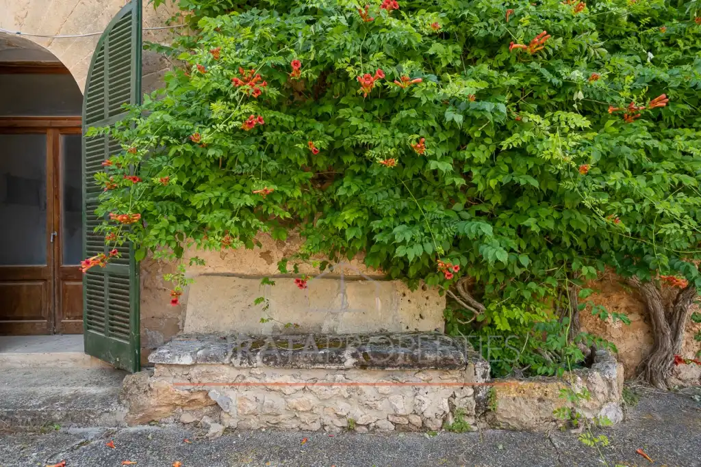 Jardí de Finca rústica en venda en Pollença amb Jardí privat, Terrassa i Traster