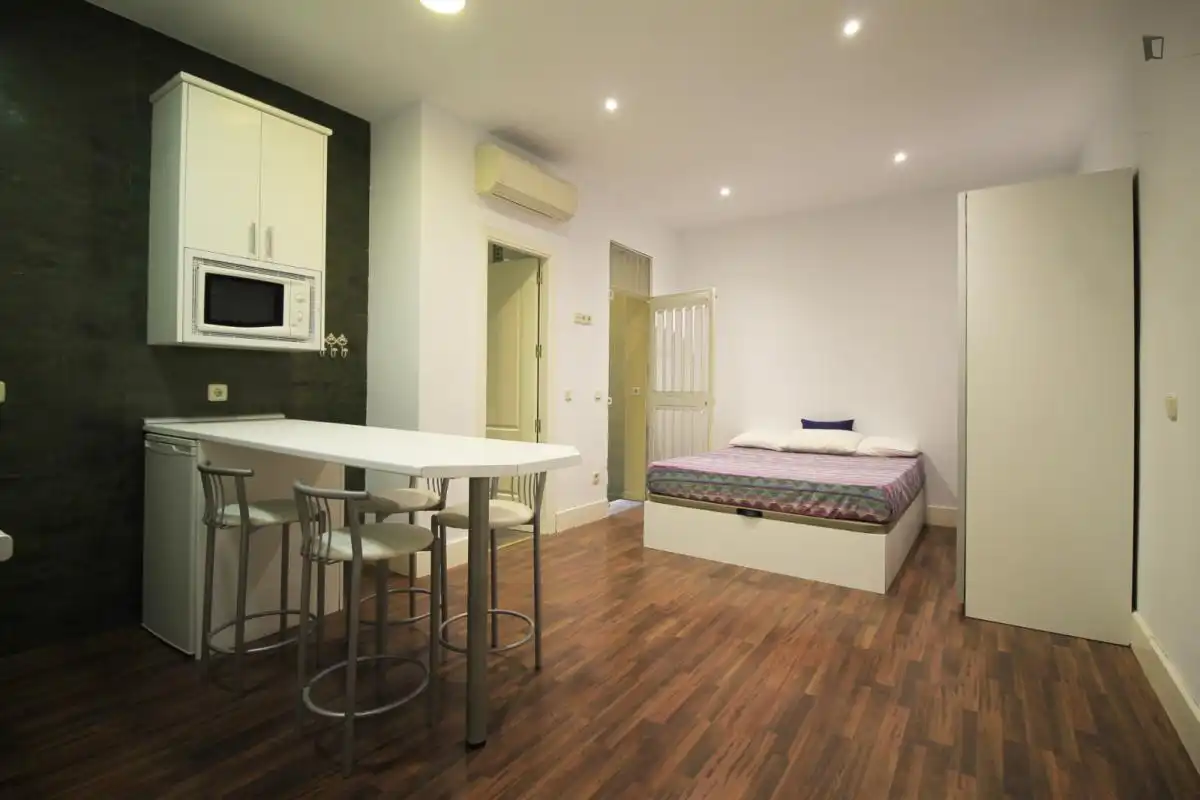 Studio to rent in Barrio de Salamanca, imagen 16
