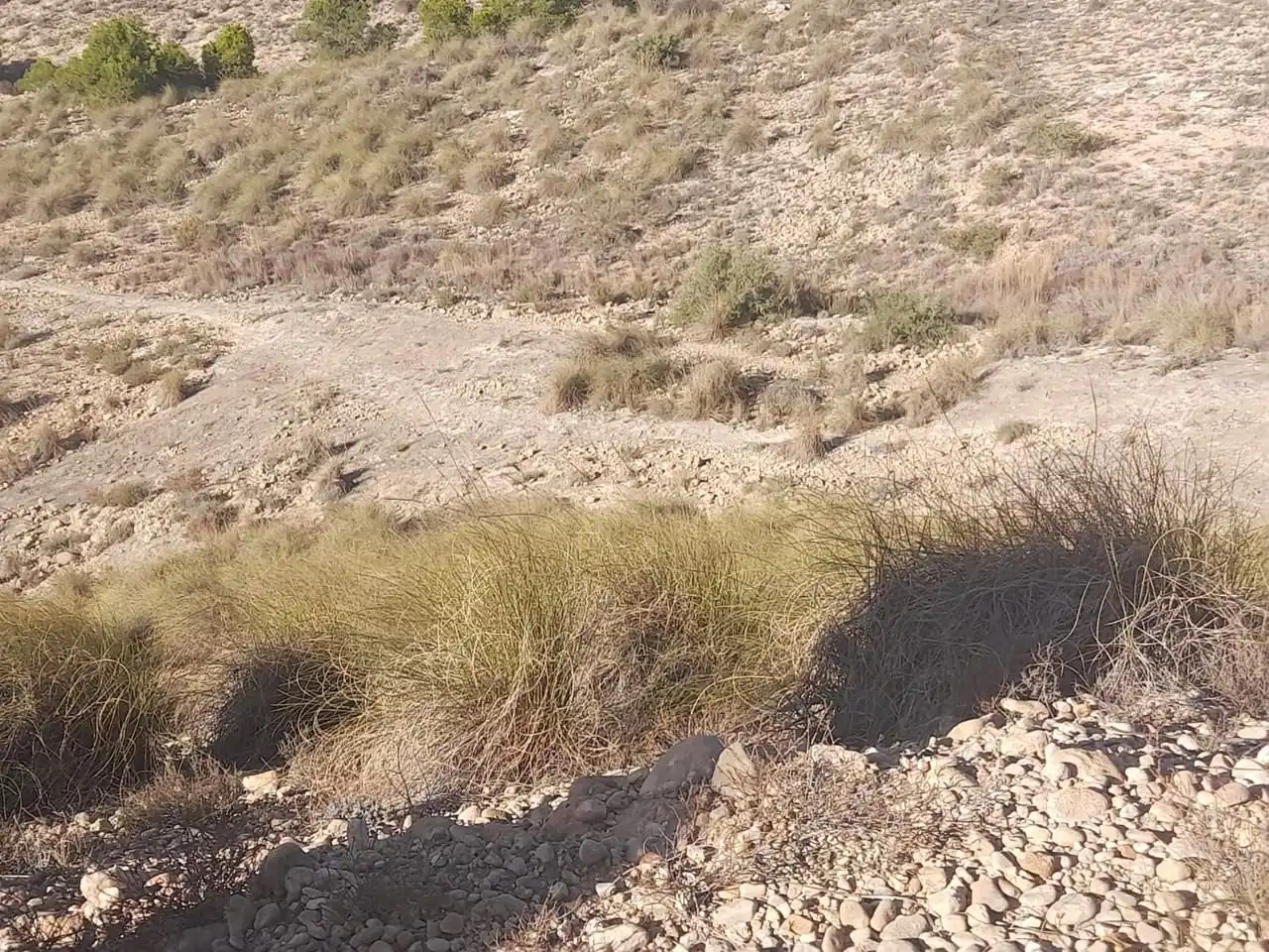 Terreno en venta en Elche / Elx