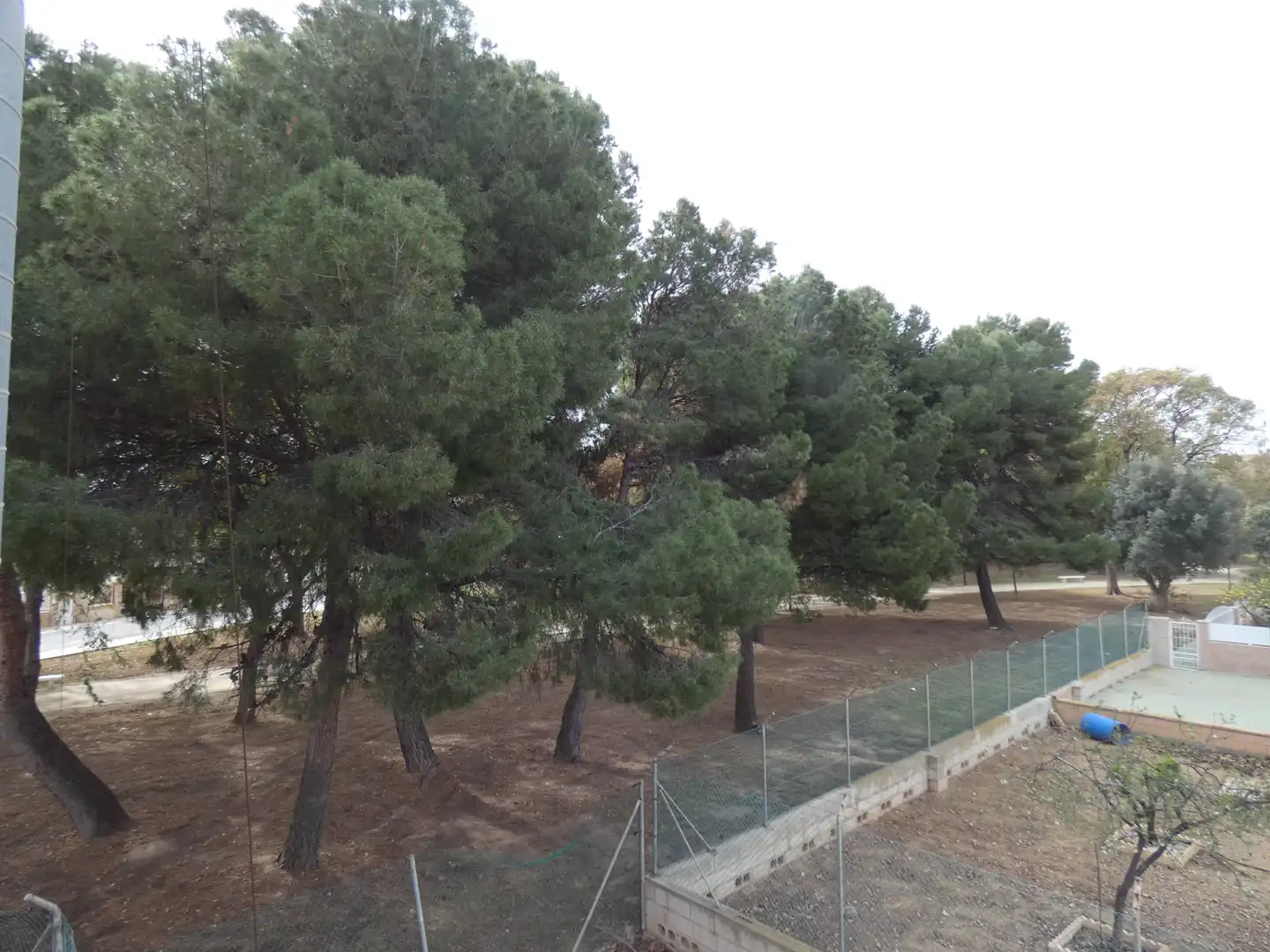 Business premises for sale in Los Narejos - Punta Calera, imagen 21