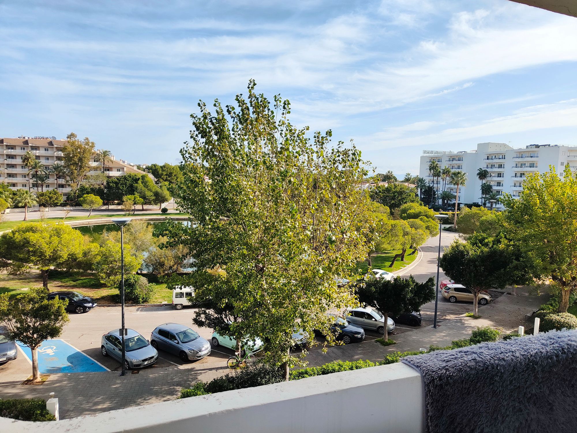 Estudi de lloguer a Carrer de l'Estany Rodó, 3, Port d'Alcúdia - Platja d'Alcúdia