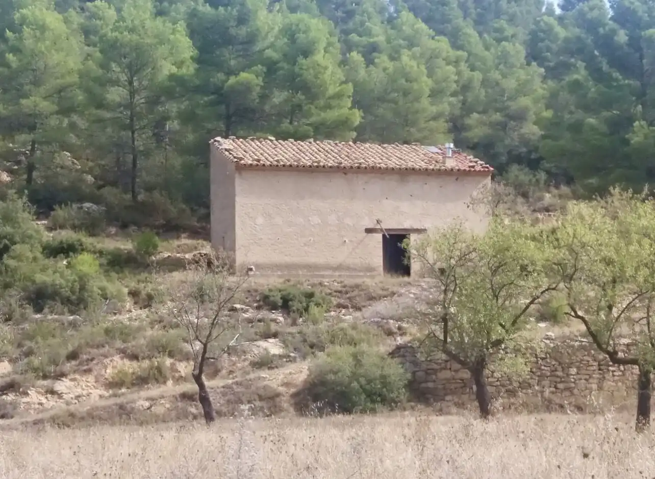 Terrenos y solares en venta en Valjunquera, imagen 6