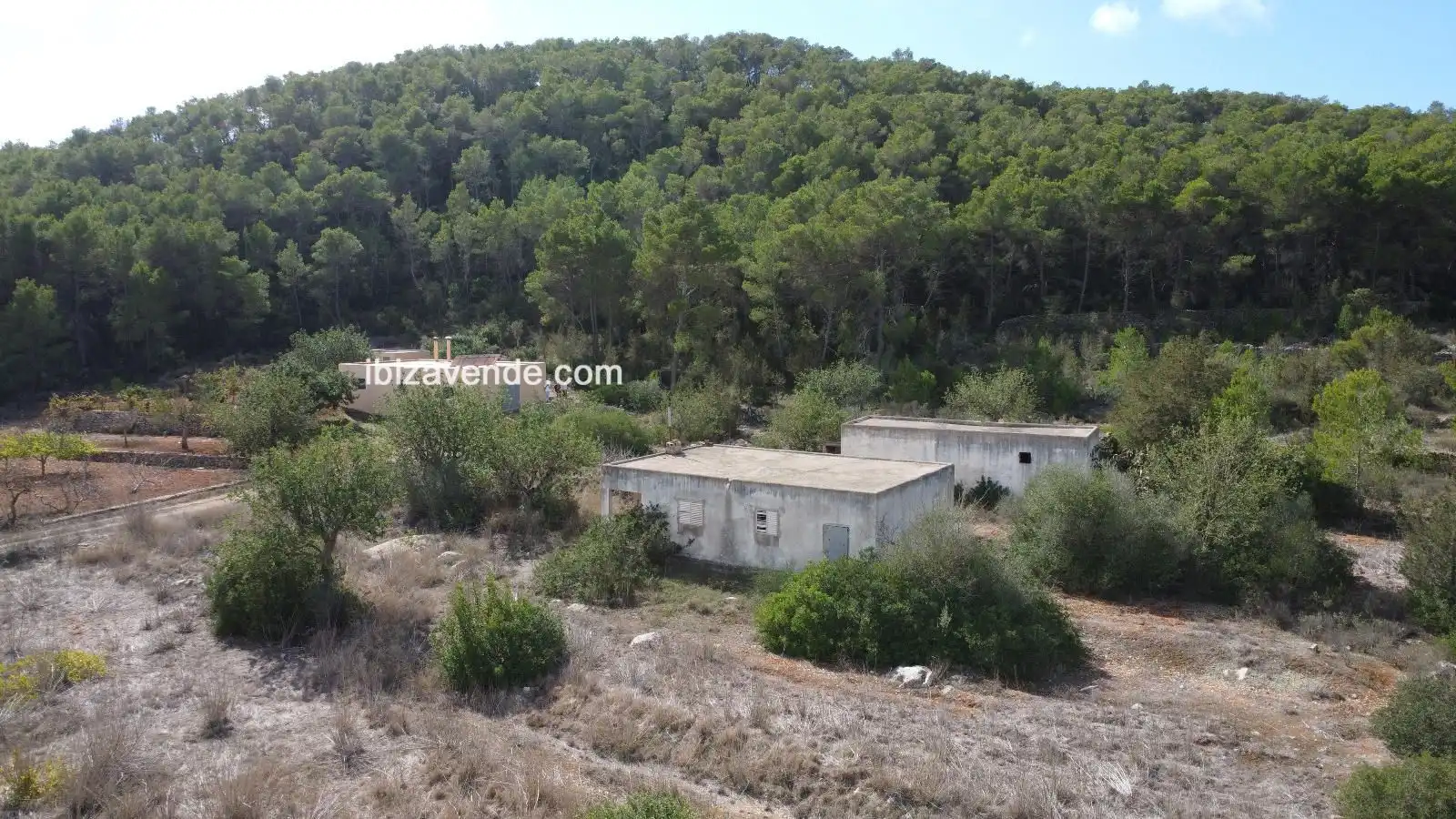 Detached house for sale in San Mateo, imagen 9