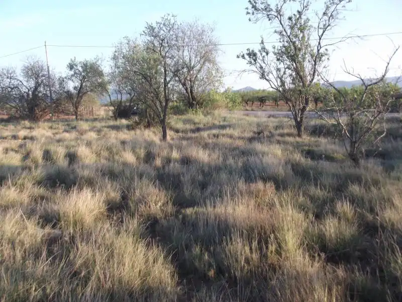 Terreny rústic en venda a PARCELA, imagen 5