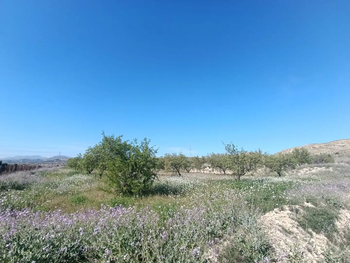 Haus oder Chalet zum Verkauf in Murcia mit Klimaanlage, Heizung und Privatgarten