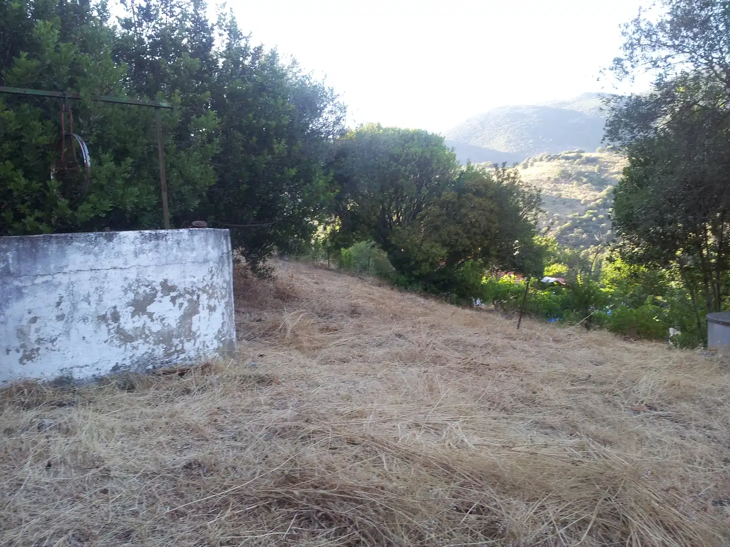 Finca rústica en venta en Ubrique