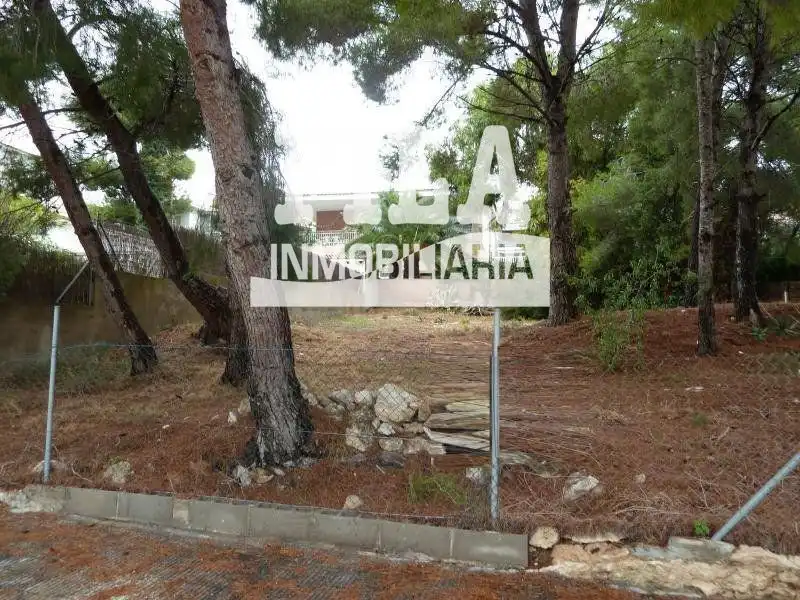 Rural land for sale in Bellamar, imagen 5
