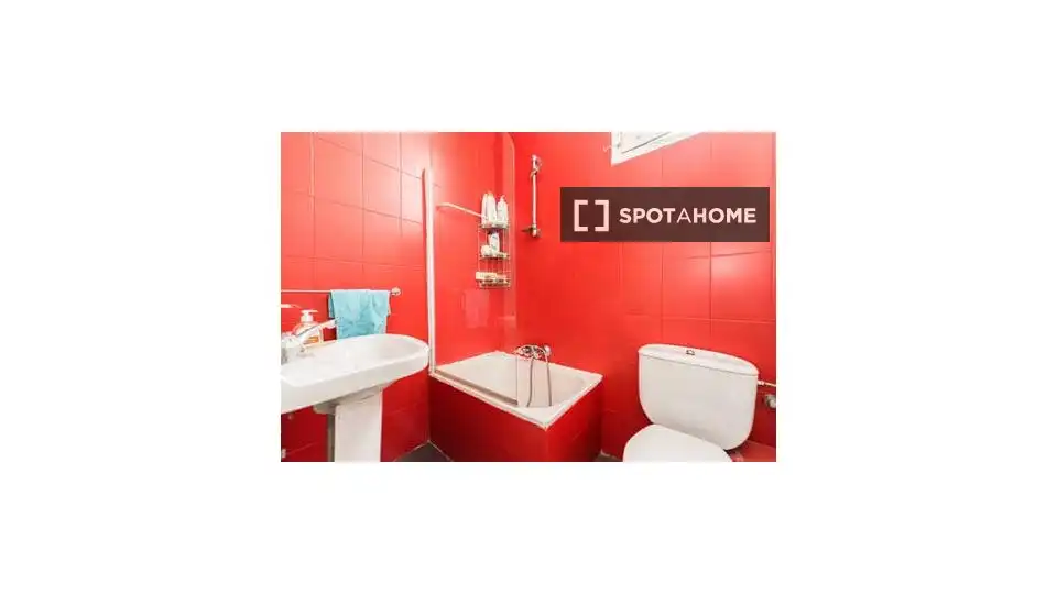 Room in Sol