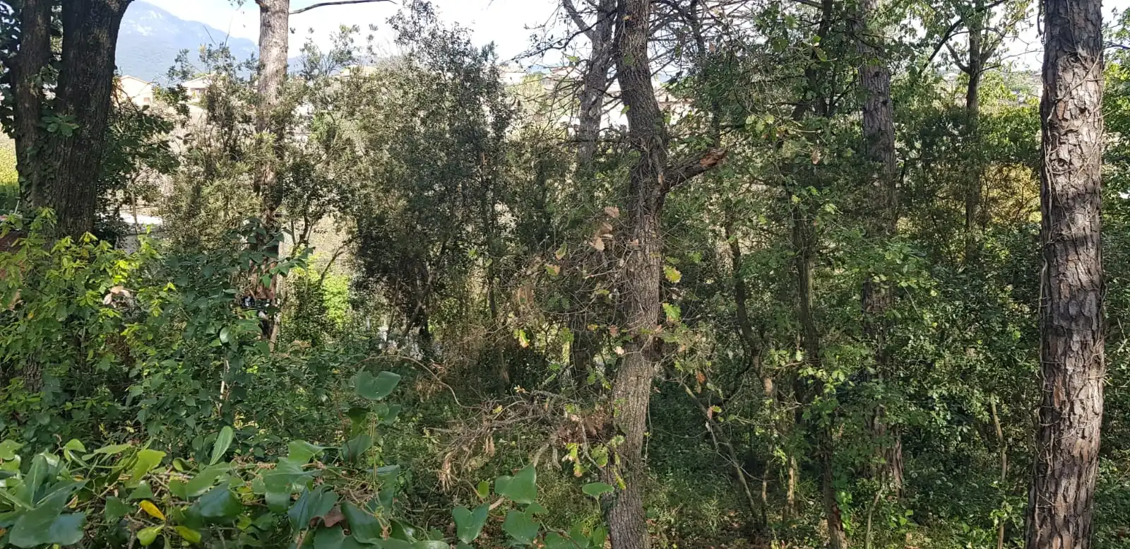 Wohnbaugrundstück zum Verkauf in Riu Gurri, imagen 16