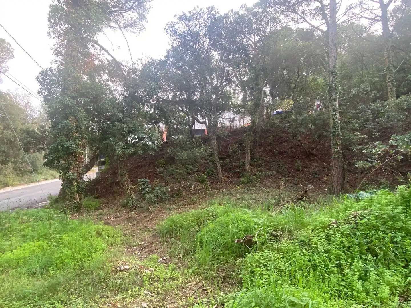 Maison avec jardin à vendre à Mas Pere - Río de Oro, imagen 24