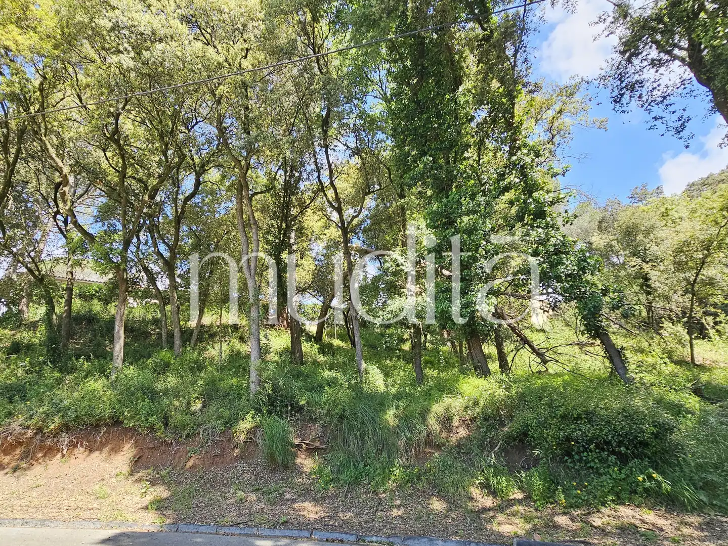 Residential land for sale in Sant Pere de Vilamajor, imagen 4