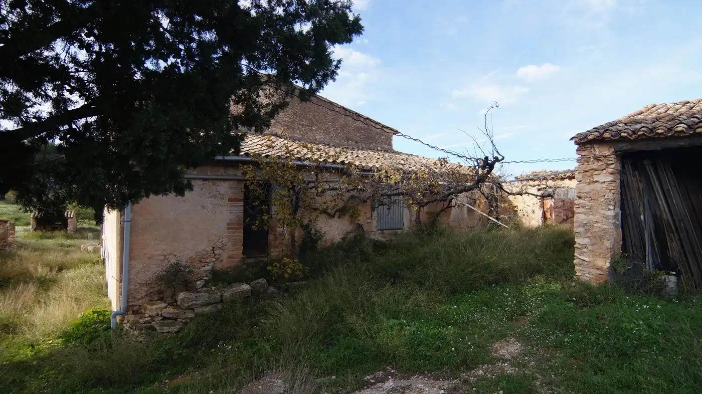 Vista exterior de Terreno en venta en Tivissa