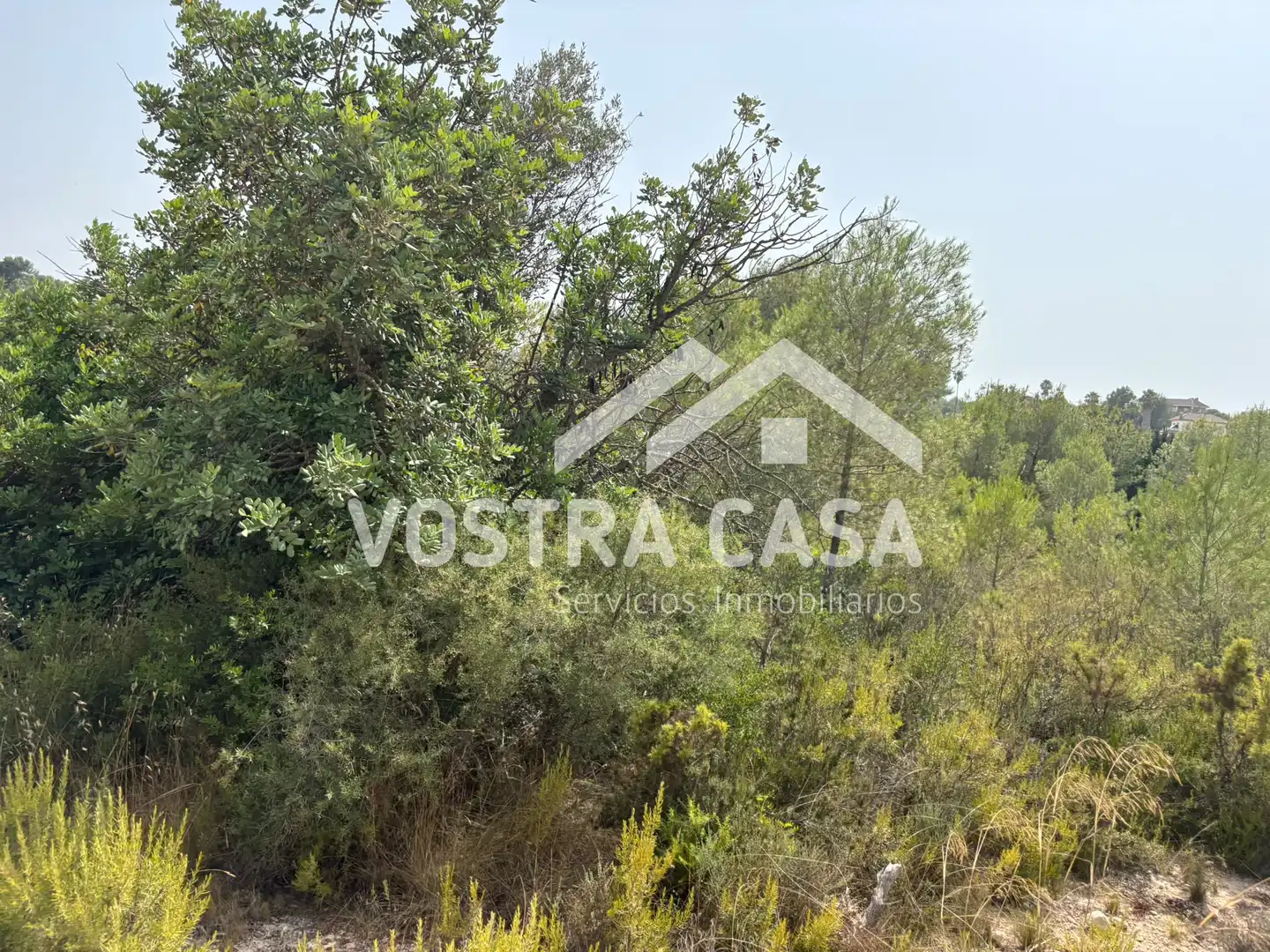 Terreno en venta en Chiva