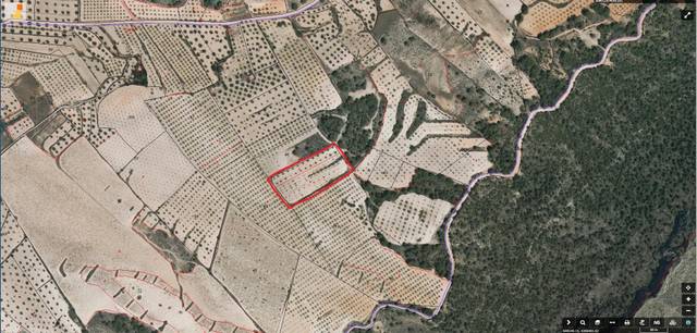 Terreno en Venta en Jumilla