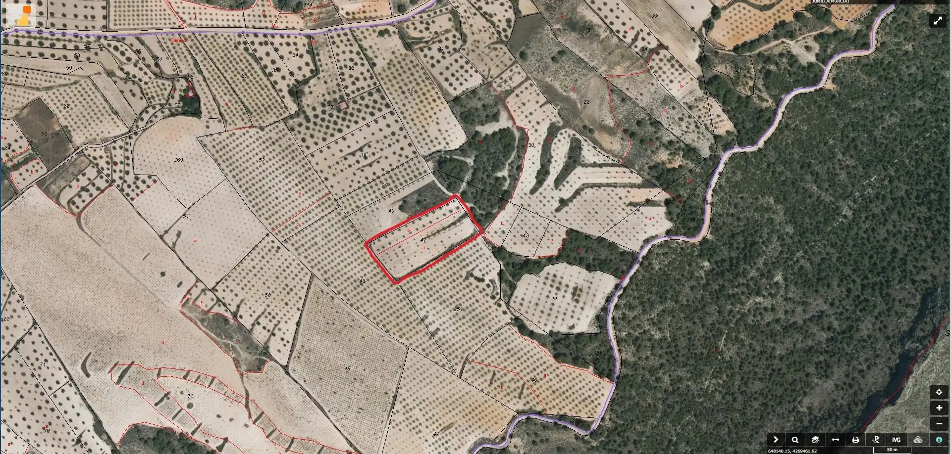 Rural land for sale in Jumilla