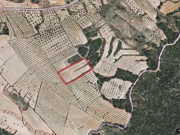 Terreno rustico in vendita a Jumilla