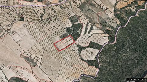Terreno rústico de 7.263 m2 con almendros en Jumilla.