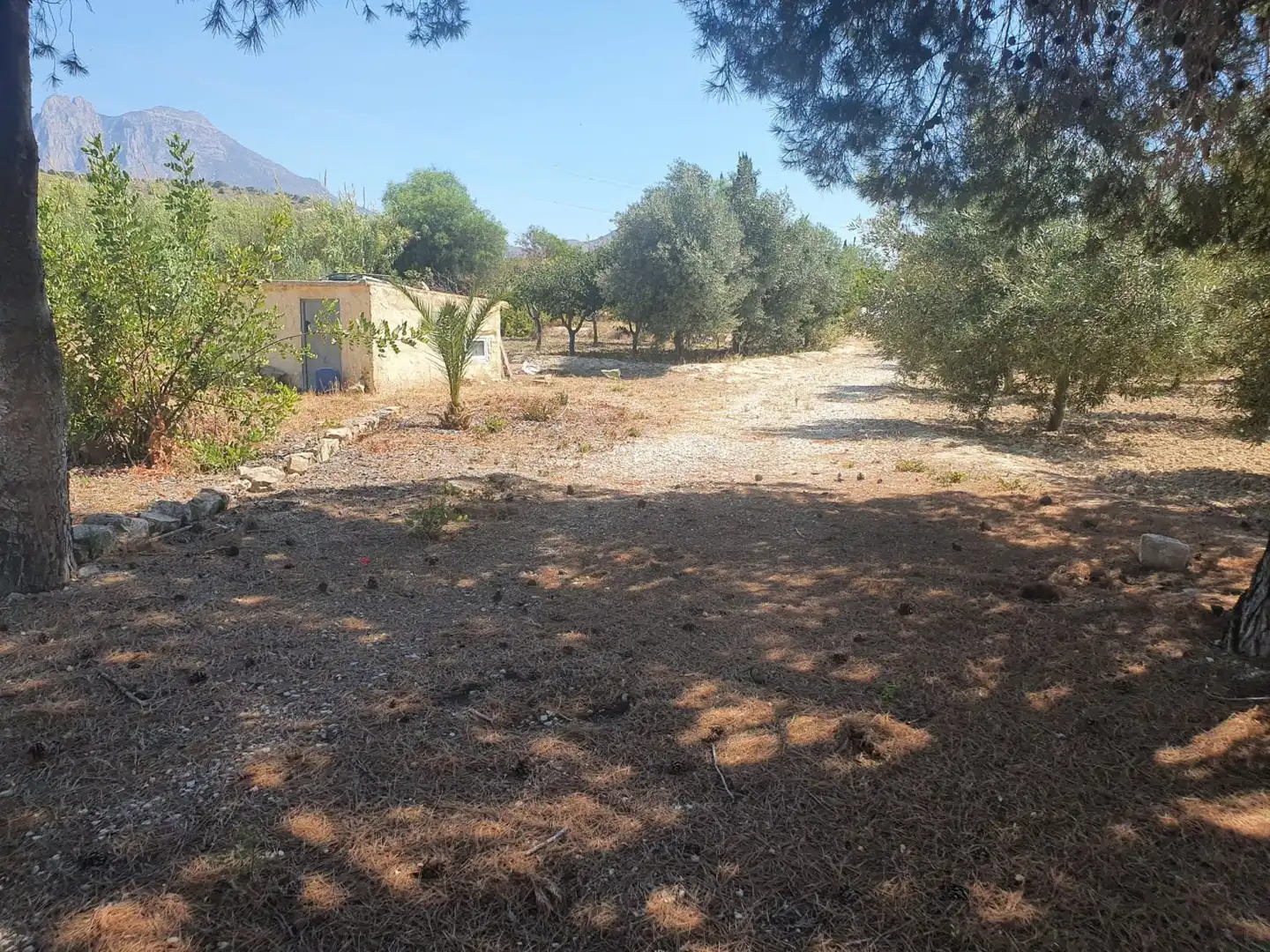 Finca rústica en venda en Villajoyosa / La Vila Joiosa