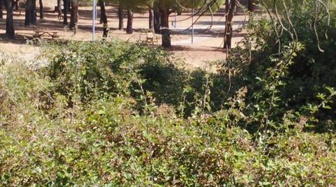 Foto 2 de Finca rústica en venda a Calle Santa Cecilia, Valdemaqueda, Madrid