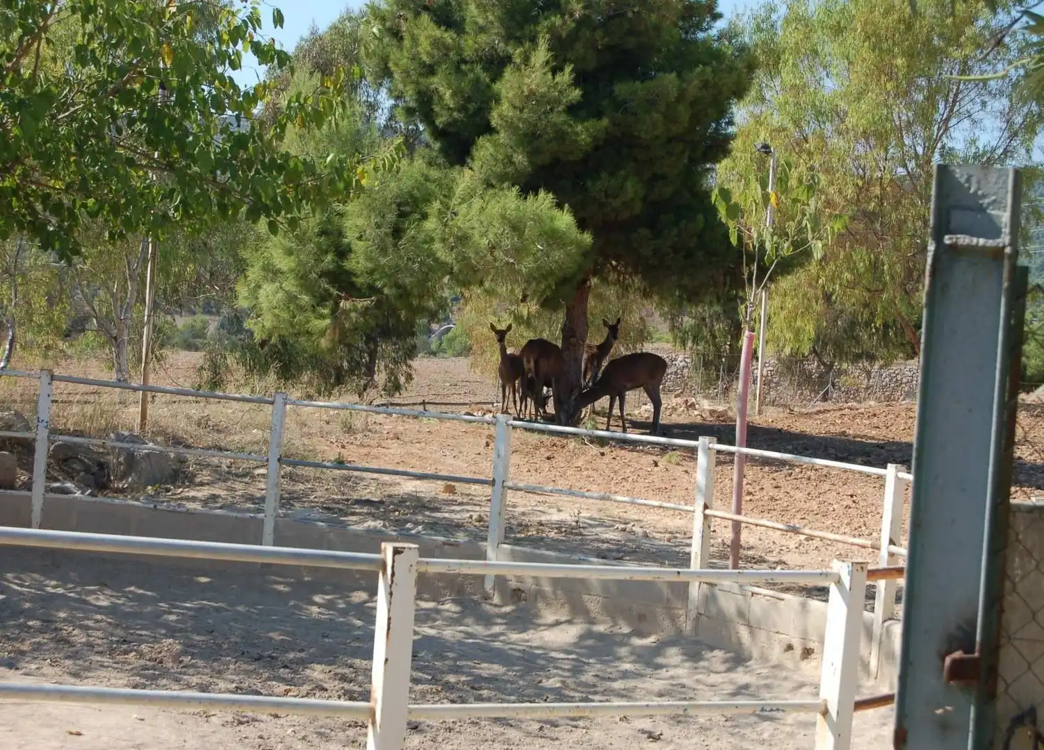 Vista exterior de Finca rústica en venda en Vilanova i la Geltrú amb Aire condicionat, Calefacció i Traster