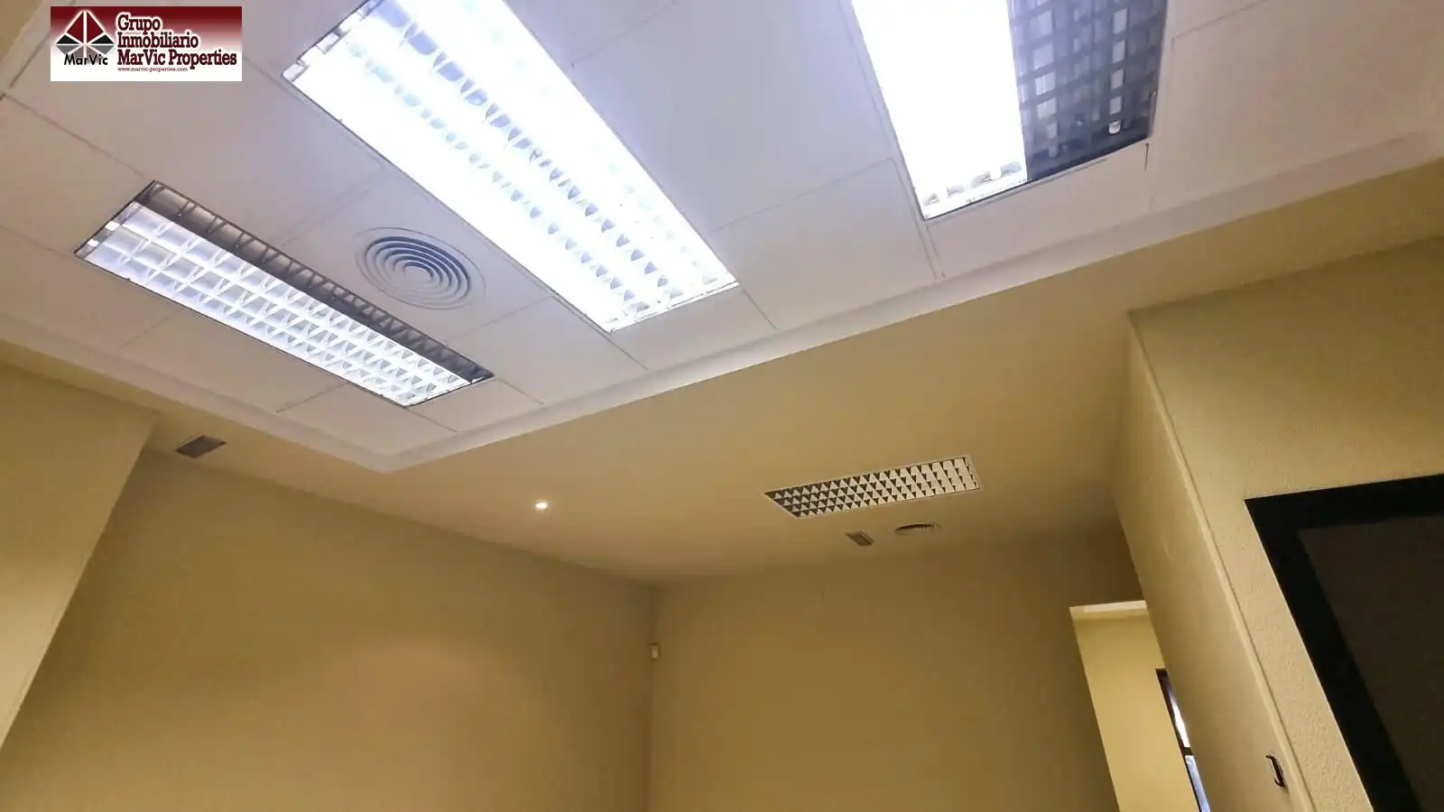 Büro mit Aufzug zur Miete in Centro Urbano, imagen 4