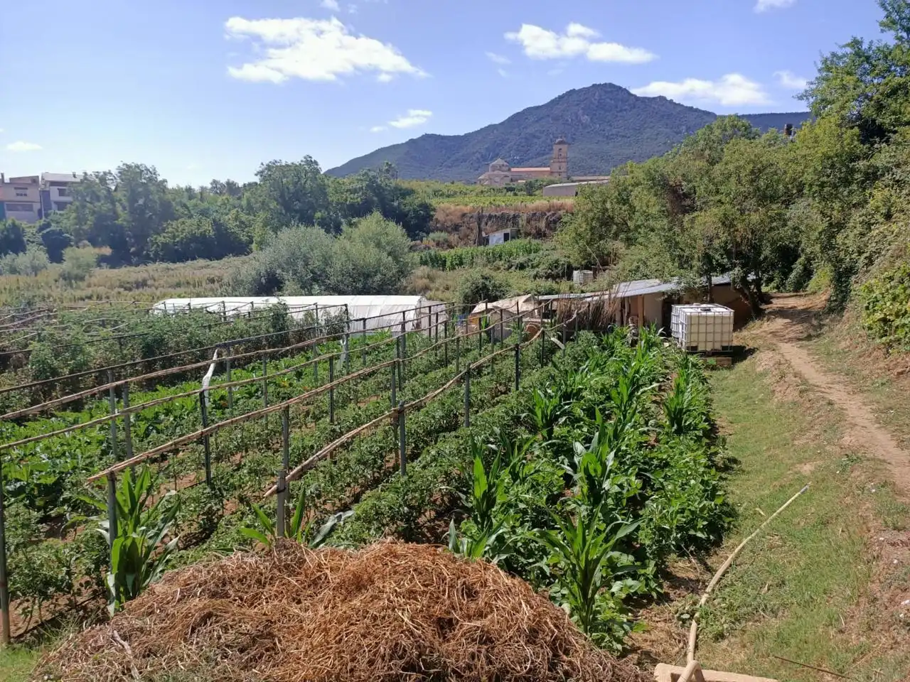 Garden of Residential for sale in Ayegui / Aiegi