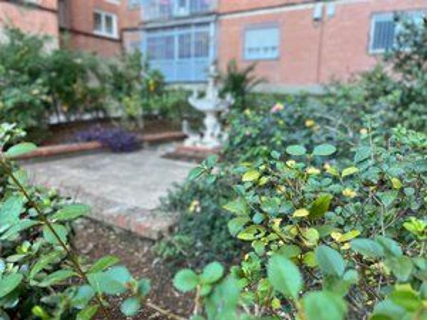 Jardín de Piso en venta en  Granada Capital
