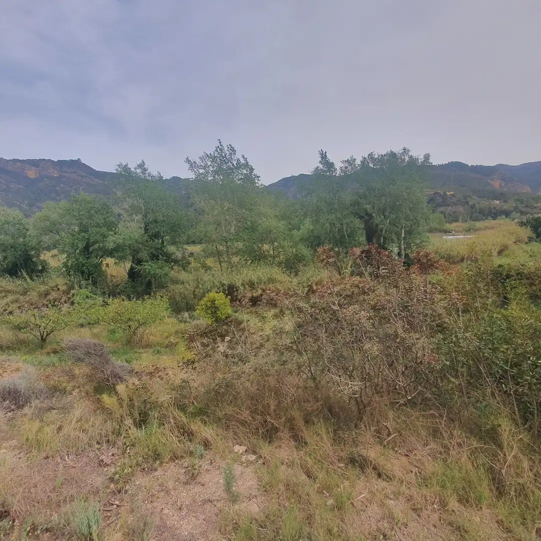 Terrain rustique à vendre à Benifallet, imagen 4