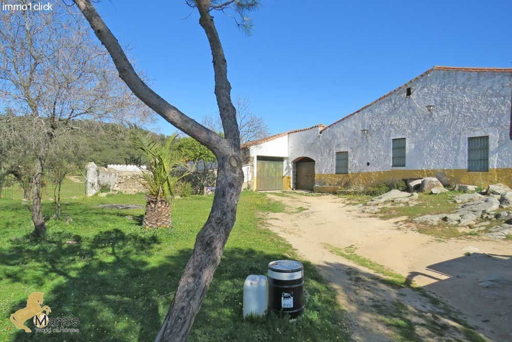 Exterior view of Residential for sale in Santa Olalla del Cala