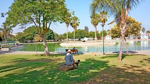 Foto 4 de Pis de lloguer a Parque Ayala - Jardín de la Abadía - Huelín, Málaga Capital